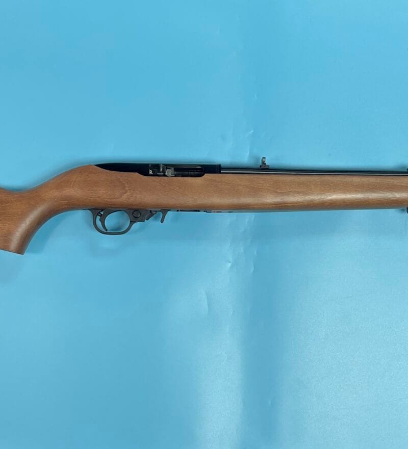 Ruger 10/22
